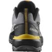 Salomon X Ultra 360 GTX