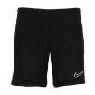 Nike Dri-FIT Shorts