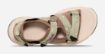 teva Grandview max