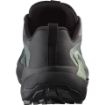 Salomon Genesis GTX