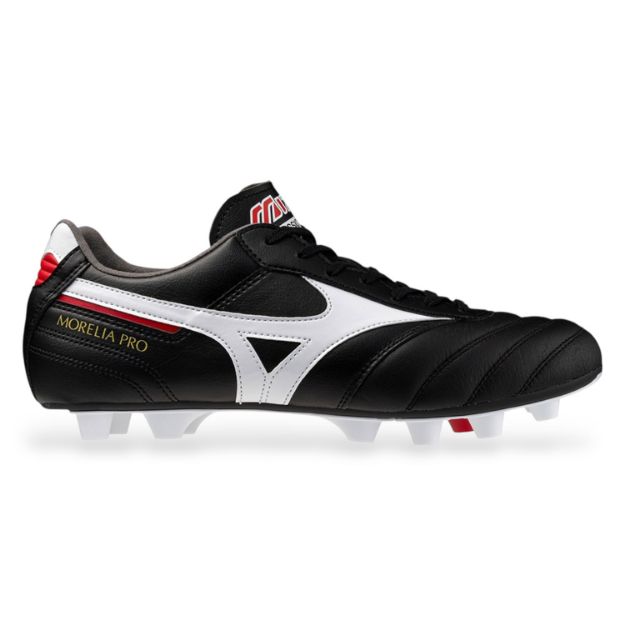 mizuno