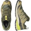 Salomon XA Pro 3D V9 GTX