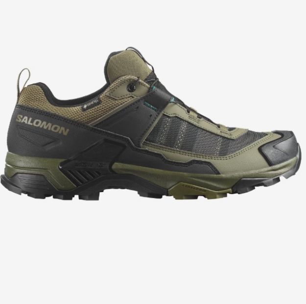 Salomon X Ultra 5 GTX