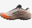 Salomon Aero Blaze 4