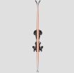 Blizzard Firebird 70 RS TI + Comp12 Demo